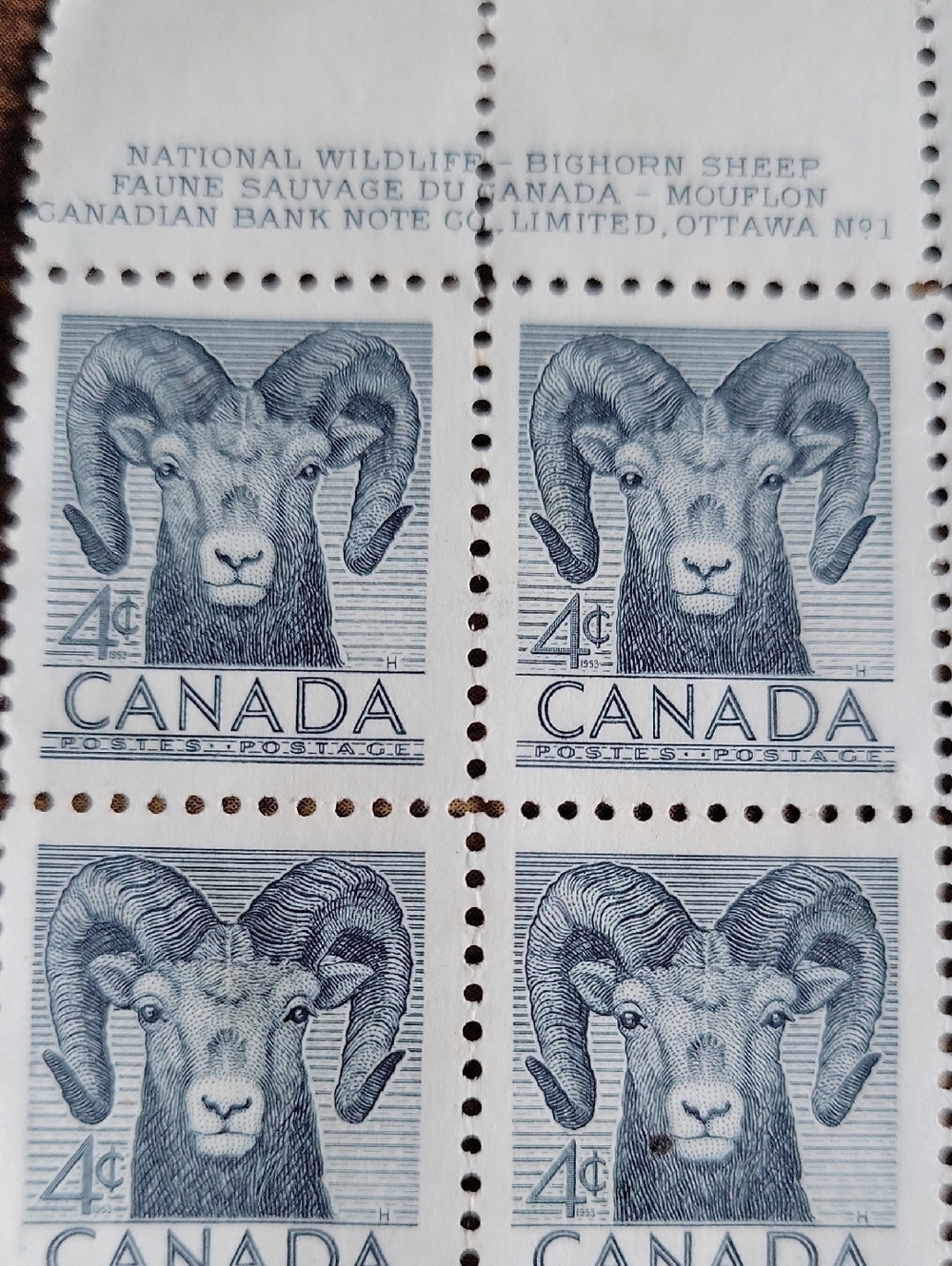 1953 Canadian 4 Cent Bighorn Sheep Stamp Art Prints - Blue